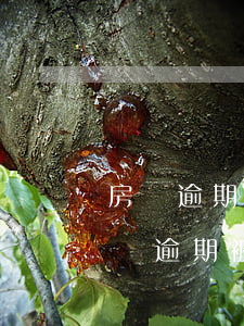 房貸逾期被法院起訴能協(xié)調嗎(房貸逾期被起訴了可以協(xié)調不全部結清嗎)