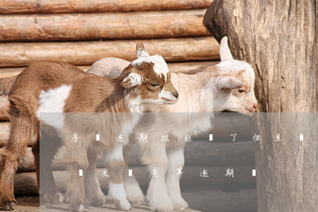 房貸逾期被起訴了但是補交了(房貸逾期以后,補交還有算逾期嗎)