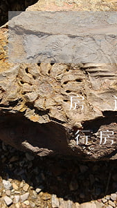 房貸逾期被起訴了判決后多久執(zhí)行(房貸逾期被起訴了判決后多久執(zhí)行拍賣)