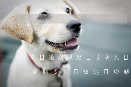 房貸逾期被起訴了多久執(zhí)行(房貸逾期多久會被起訴的解決辦法)