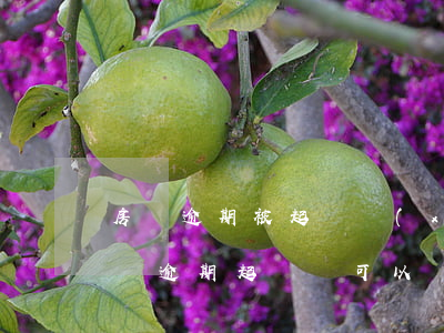 房貸逾期被起訴協(xié)商要給錢嗎(房貸逾期起訴費可以協(xié)商嗎)
