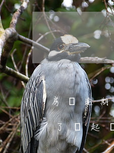 房貸逾期被起訴后還清逾期-房貸逾期還清了還起訴