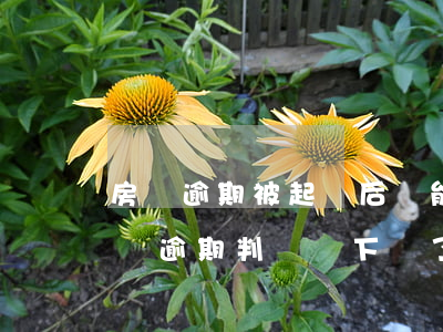 房貸逾期被起訴后還能協(xié)商嗎(房貸逾期判決書下來了還能協(xié)商)