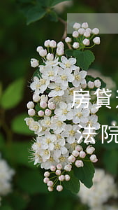 房貸逾期被起訴多久下判決(房貸逾期被起訴法院會(huì)怎么判)