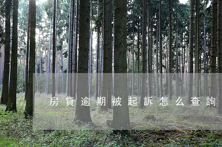房貸逾期被起訴怎么查詢(查詢房貸逾期記錄)