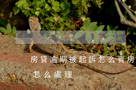 房貸逾期被起訴怎么賣房(房貸逾期了被起訴怎么處理)