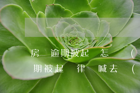 房貸逾期被起訴怎樣協(xié)商(房貸逾期被起訴,律師喊去協(xié)調(diào))