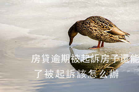 房貸逾期被起訴房子還能買么(房子貸款逾期了被起訴該怎么辦)