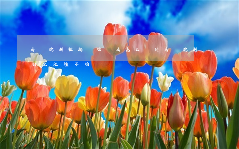 房貸逾期被起訴拍賣是怎么賣的(房貸逾期為什么法院不拍賣)