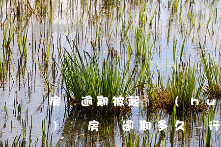 房貸逾期被起訴會(huì)凍結(jié)嗎(房貸逾期多久銀行會(huì)起訴)