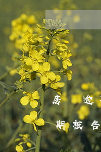 房貸逾期被起訴會(huì)開庭嗎(貸款逾期被告了要開庭怎樣確定是真的)