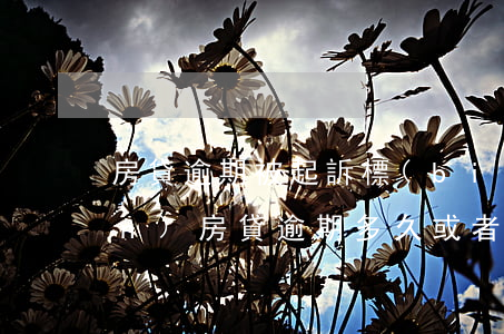房貸逾期被起訴標(biāo)準(zhǔn)(房貸逾期多久或者多少金額會被起訴)