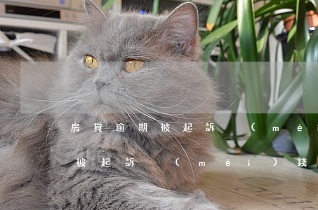 房貸逾期被起訴沒(méi)錢還（房貸逾期被起訴沒(méi)錢還）