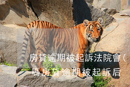房貸逾期被起訴法院會(huì)通知家人嗎(房貸逾期被起訴后)