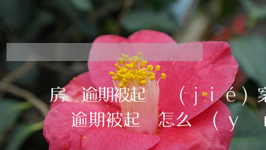 房貸逾期被起訴結(jié)案了怎么辦(房貸逾期被起訴怎么應(yīng)訴)