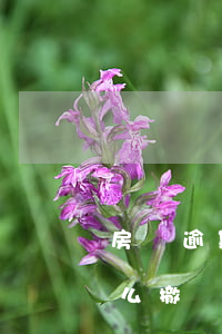 房貸逾期被起訴能撤訴嗎（房貸逾期被起訴怎么撤訴）