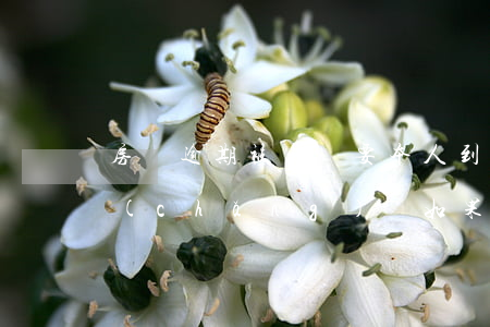 房貸逾期被起訴要本人到現(xiàn)場(chǎng)嗎(如果房貸逾期了,銀行準(zhǔn)備起訴怎么辦)