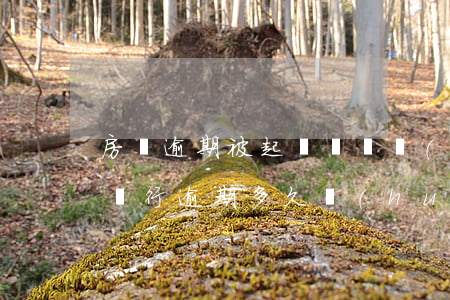 房貸逾期被起訴訴訟費(fèi)是怎么收(銀行逾期多久會(huì)被起訴費(fèi)用多少錢房貸)