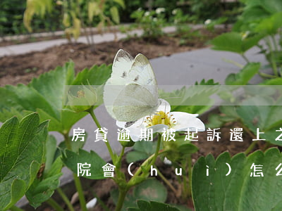 房貸逾期被起訴還上之后(房貸逾期被起訴法院會(huì)怎么判)