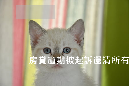 房貸逾期被起訴還清所有貸款