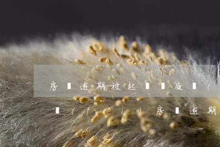 房貸逾期被起訴開庭時(shí)和解律師費(fèi) 房貸逾期被起訴訴訟費(fèi)