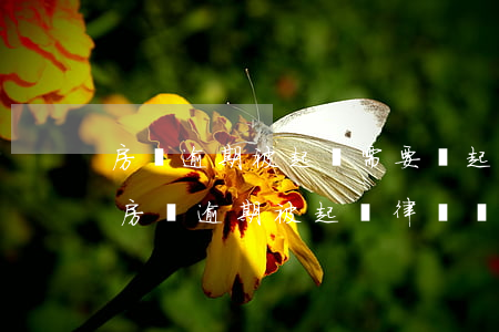 房貸逾期被起訴需要給起訴費(fèi)么(房貸逾期被起訴律師費(fèi))