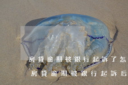 房貸逾期被銀行起訴了怎么辦浦發(fā)(房貸逾期被銀行起訴后果)
