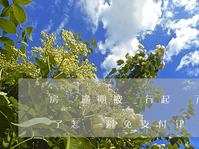 房貸逾期被銀行起訴了(房貸逾期被銀行起訴了怎樣避免支付律師費)