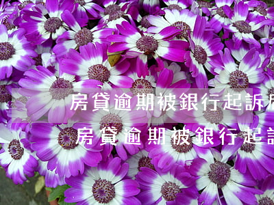 房貸逾期被銀行起訴后會(huì)撤訴嗎(房貸逾期被銀行起訴后會(huì)撤訴嗎)