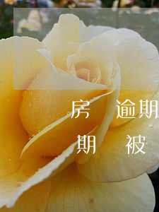 房貸逾期被銀行起訴后還款會怎么樣（房貸逾期會被銀行起訴嗎）