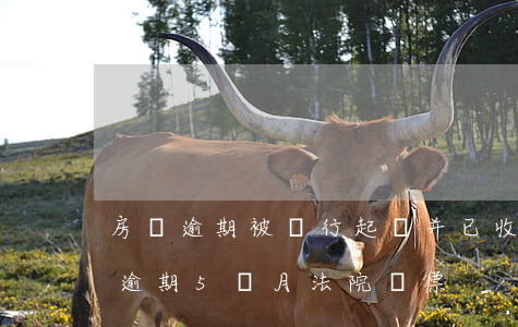 房貸逾期被銀行起訴并已收到法院傳票（房貸逾期5個月法院傳票）