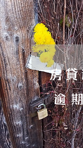 房貸逾期被銀行起訴并已收到法院傳票（房貸逾期法院傳票可以撤回嗎）