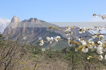 房貸逾期被銀行起訴沒(méi)開(kāi)庭-銀行起訴房貸逾期法院已經(jīng)受理