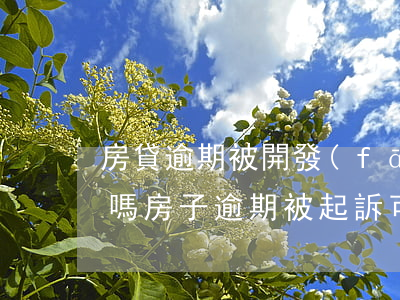 房貸逾期被開發(fā)商起訴之后還能賣嗎（房子逾期被起訴可以賣房嗎）