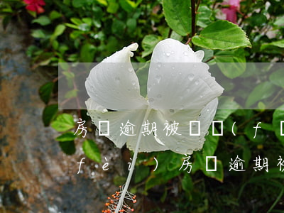 房貸逾期被開發(fā)商起訴要律師費(fèi)(房貸逾期被起訴,律師費(fèi)可以協(xié)商嗎)