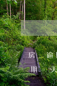 房貸逾期要求一次性還清(還房貸每個月都逾期幾天,叫連續(xù)逾期?)