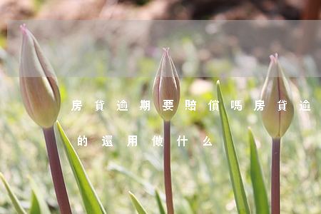 房貸逾期要賠償嗎(房貸逾期被起訴,交了逾期的還用做什么)