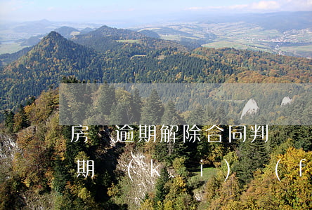 房貸逾期解除合同判決書(shū)(房貸逾期開(kāi)發(fā)商解除購(gòu)房合同)