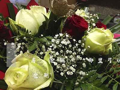 房貸逾期記錄哪里可以查(怎么查房貸有沒有逾期)