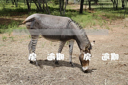 房貸逾期記錄(房貸逾期記錄多久消除)