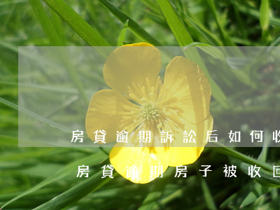 房貸逾期訴訟后如何收回房產(chǎn)(房貸逾期房子被收回怎么辦)