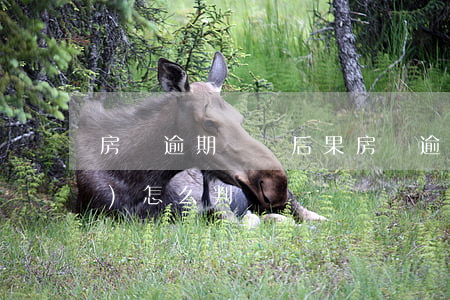 房貸逾期訴訟后果(房貸逾期官司會(huì)怎么判)