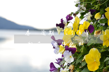 房貸逾期誰(shuí)還房貸(房貸總是逾期后還有什么影響嗎)