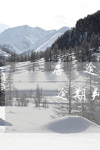 房貸逾期調(diào)解書如何書寫(房貸逾期判決書下來了,還能調(diào)解嗎)