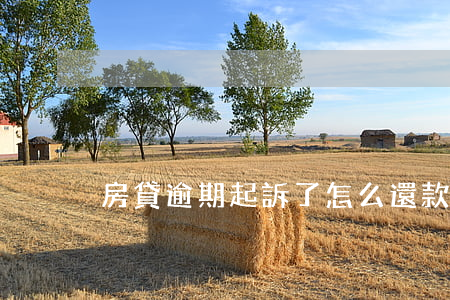 房貸逾期起訴了怎么還款