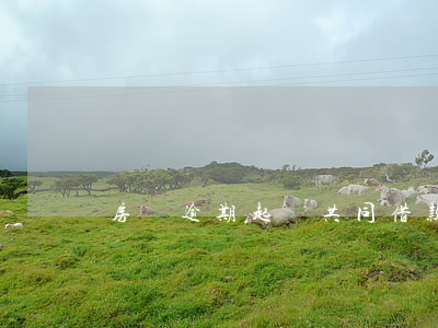 房貸逾期起訴共同借款人