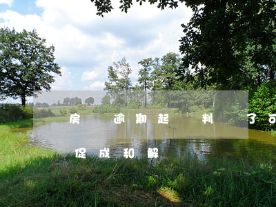 房貸逾期起訴判決了可和解嗎(房貸逾期法院促成和解)