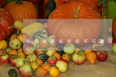 房貸逾期起訴后可以撤訴嗎