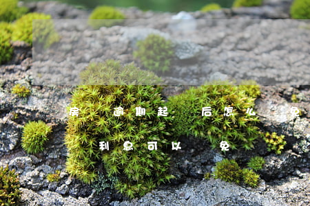 房貸逾期起訴后怎么減免(銀行貸款逾期被起訴利息可以減免嗎)
