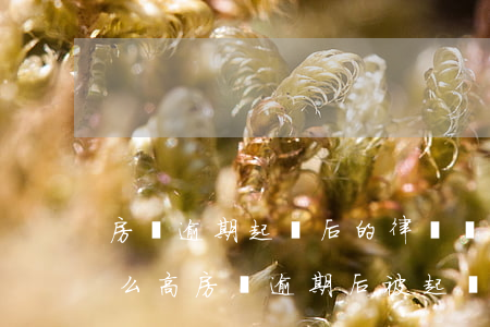 房貸逾期起訴后的律師費(fèi)怎么這么高（房貸逾期后被起訴要收律師費(fèi)嗎）